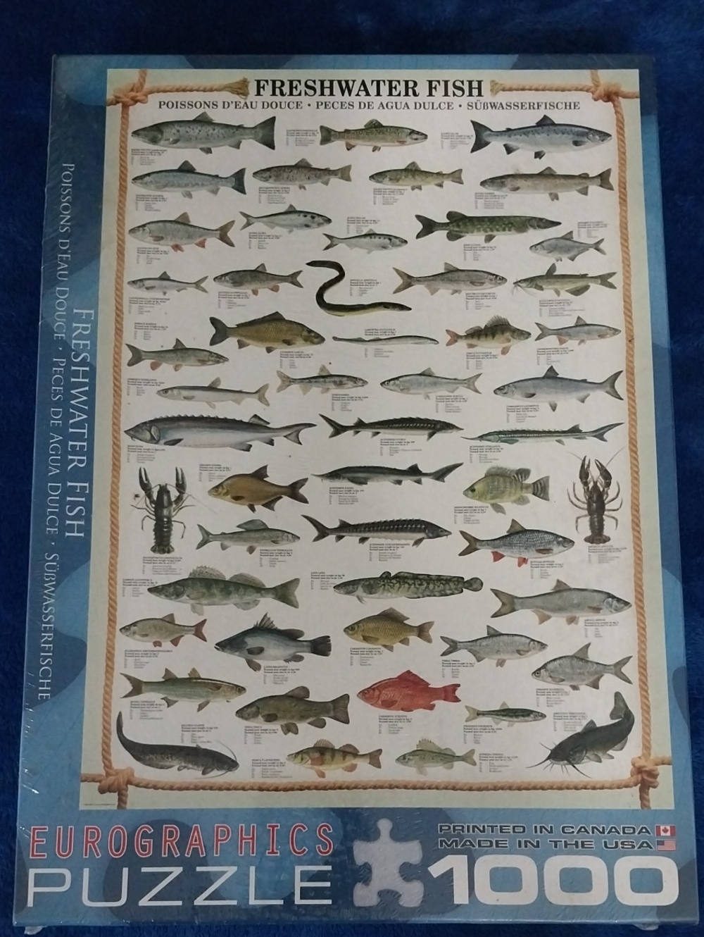 🔵BOGO FREE🔵 Eurographics Freshwater Fish 1000-Piece Puzzle NEW IN SHRINKWRAP